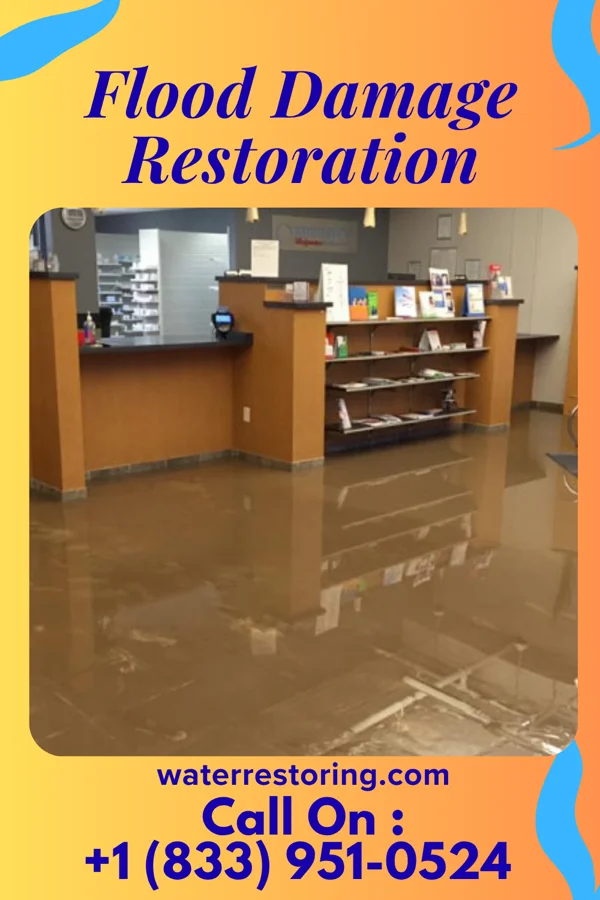 Flood Damage Restoration in Ponderosa Park, CO