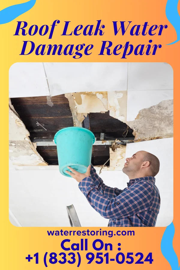 Roof Leak Water Damage Repair in Ponderosa Park, CO