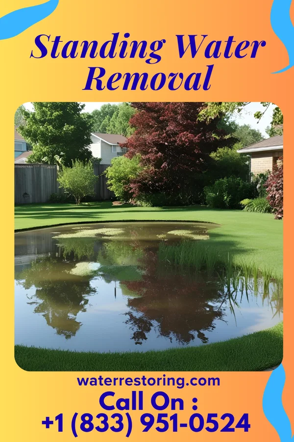 Standing Water Removal in Ponderosa Park, CO